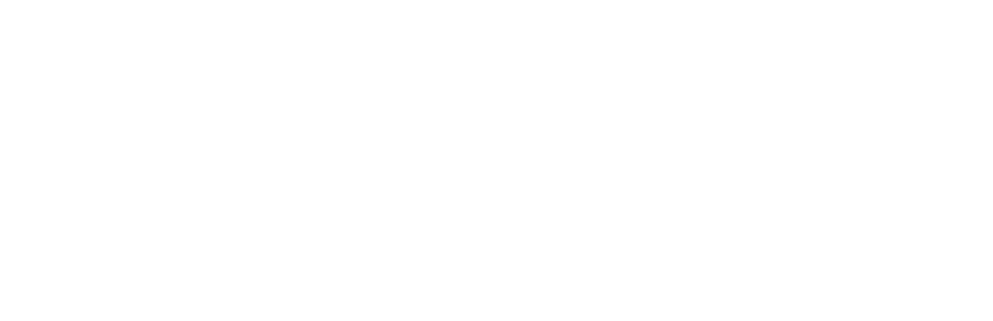 NUSA Logo